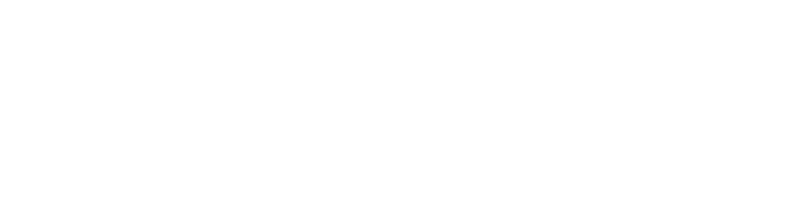 Hawk Valley Fencing Logo White