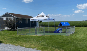 Hawk Valley Fencing