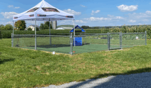 Hawk Valley Fencing