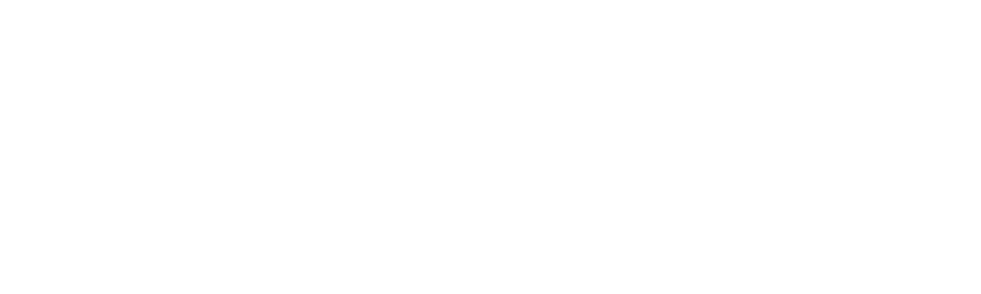 Hawk Valley Fencing Logo White